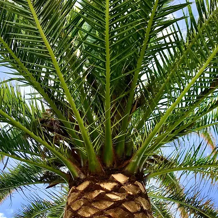 A By The Sea فيلا فرانكا دو كامبو